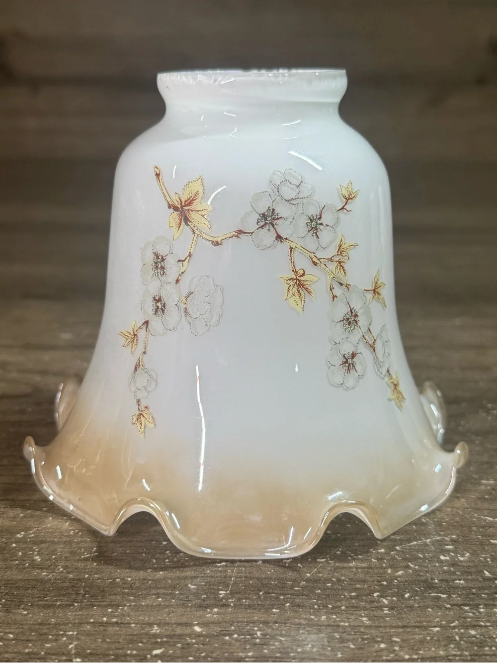 Vintage Milk Glass Dogwood Floral Lamp Shades Set of 4 Ruffled 2” Fitter